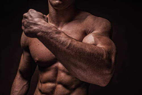 Exercice pour travailler les biceps