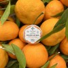 Baume lèvres bio 100% naturel à l'huile essentielle d'orange douce