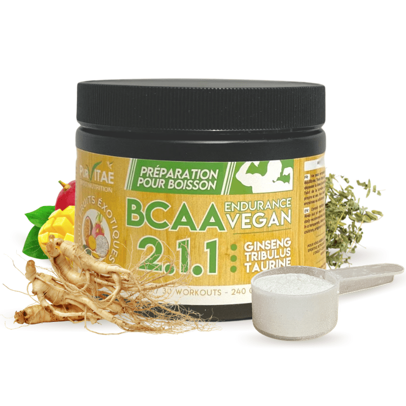BCAA Vegan 2.1.1 ENDURANCE 240gr